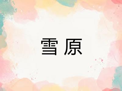 雪原