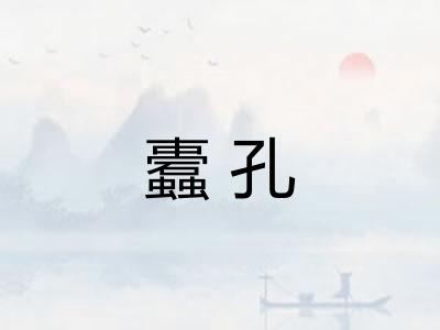 蠹孔