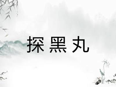 探黑丸
