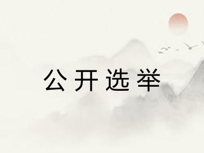 公开选举