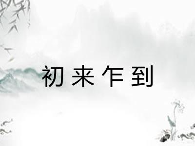 初来乍到