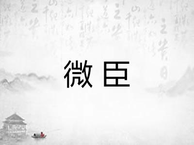 微臣