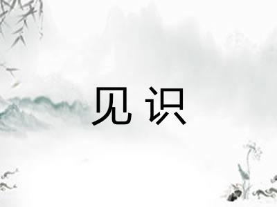 见识