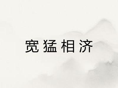 宽猛相济