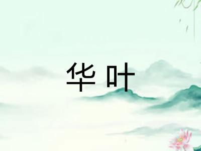 华叶