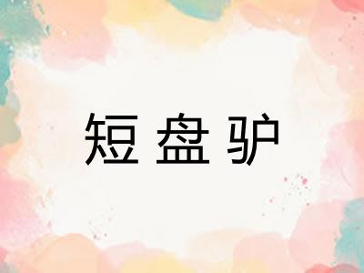 短盘驴
