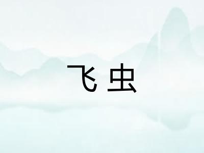 飞虫