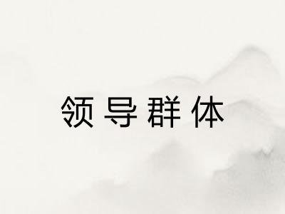 领导群体