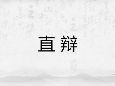 直辩