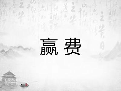 赢费