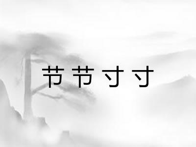 节节寸寸