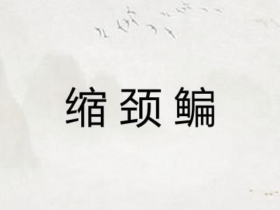 缩颈鳊