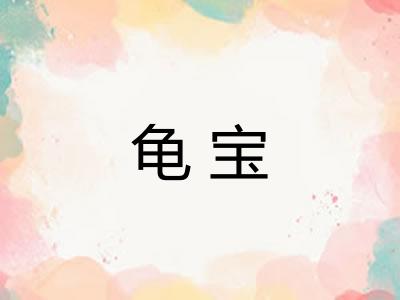 龟宝