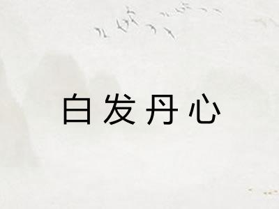 白发丹心