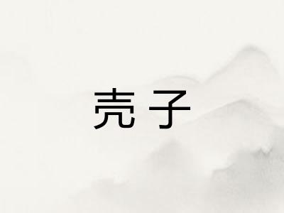 壳子