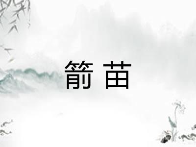 箭苗