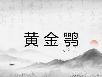 黄金鹗