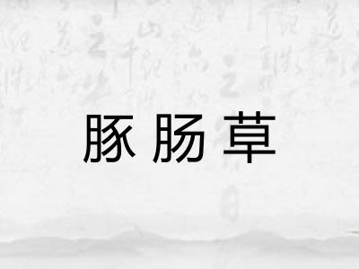 豚肠草