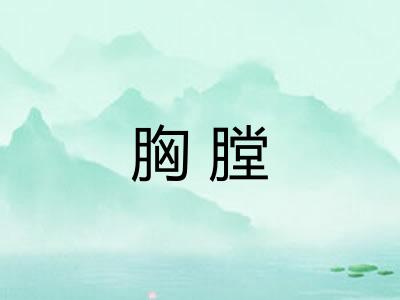 胸膛