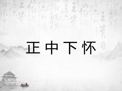 正中下怀