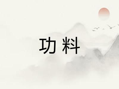 功料