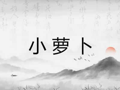 小萝卜