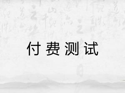 付费测试