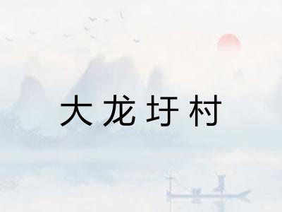 大龙圩村