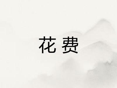 花费