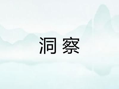 洞察