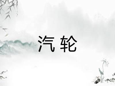 汽轮
