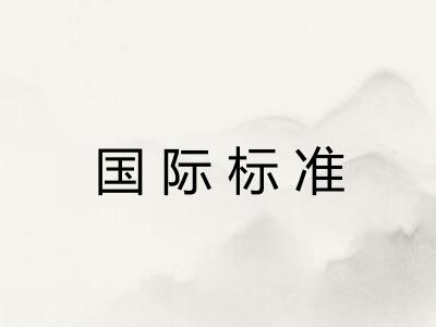 国际标准