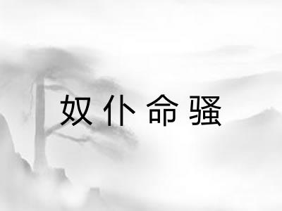 奴仆命骚