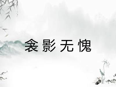 衾影无愧