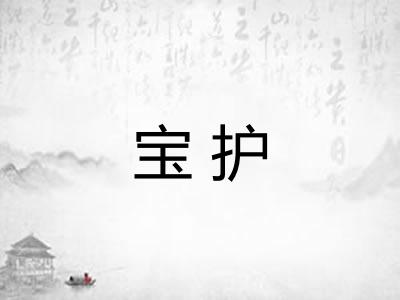 宝护