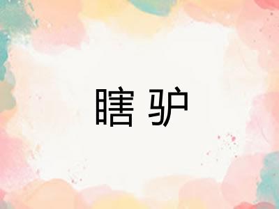瞎驴