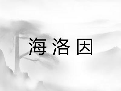 海洛因