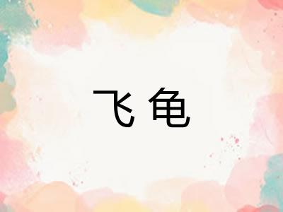飞龟