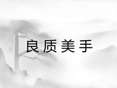 良质美手