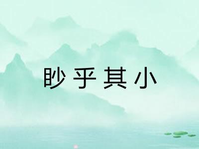 眇乎其小