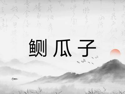 鲗瓜子