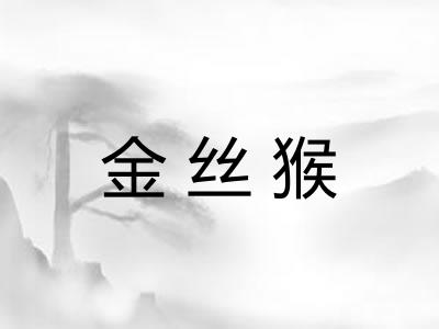 金丝猴
