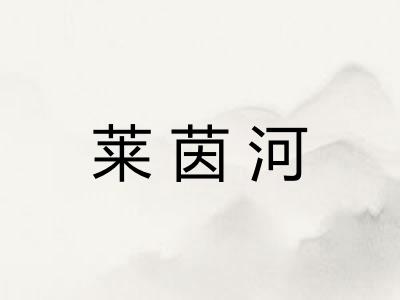 莱茵河