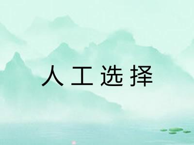 人工选择