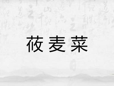 莜麦菜