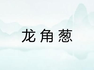龙角葱