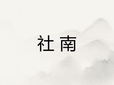 社南