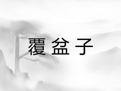 覆盆子