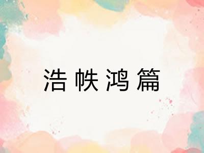 浩帙鸿篇