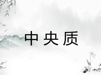 中央质